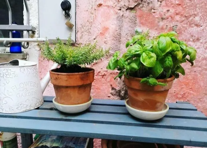 Semesterbostad La Casa Di Mo