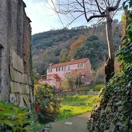 La Casa Di Mo
