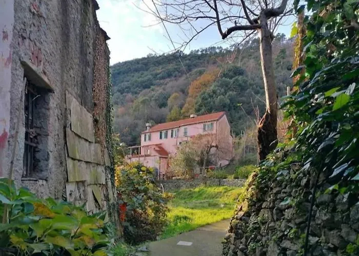 La Casa Di Mo
